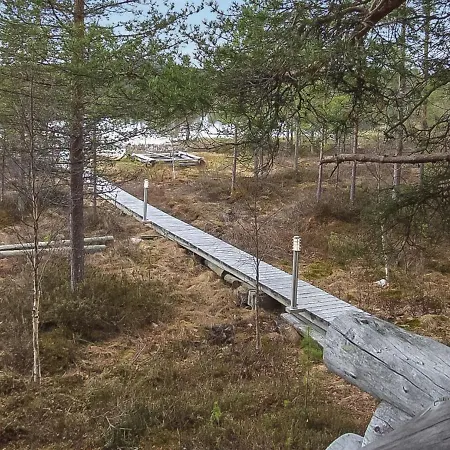 Honkapirtti- Vuotunki By Interhome Kunnari