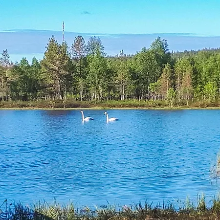 Honkapirtti- Vuotunki By Interhome *